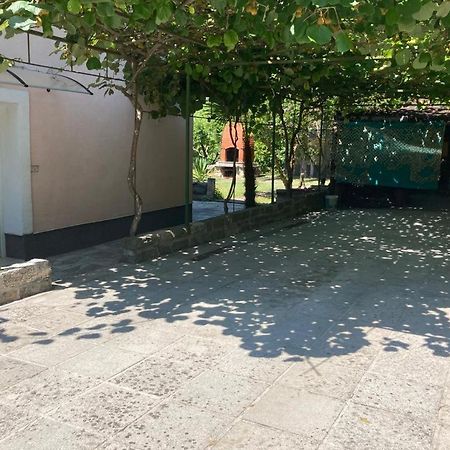 Apartma Mari Daire Lucija Dış mekan fotoğraf