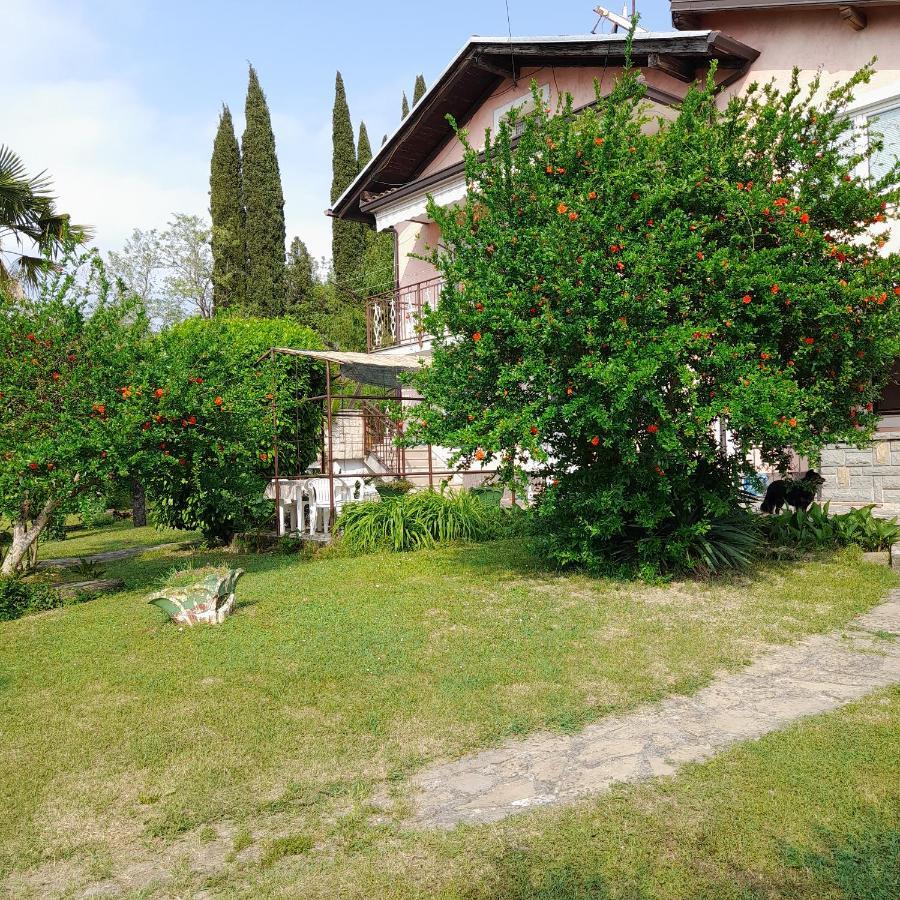 Apartma Mari Daire Lucija Dış mekan fotoğraf